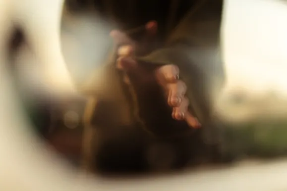 Casino Royal Slots Supporto